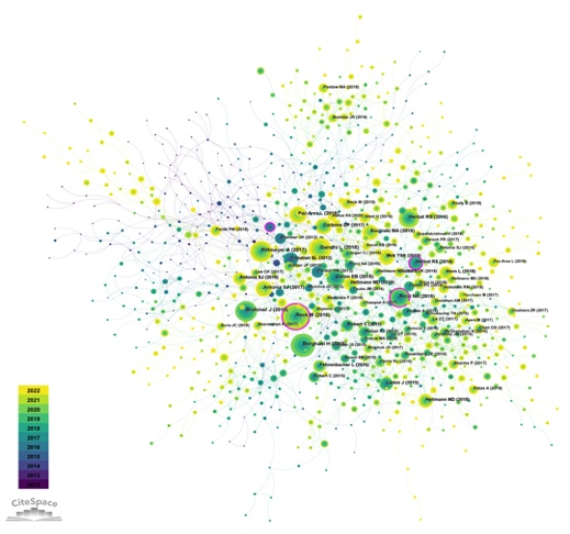 文献共被引分析图A